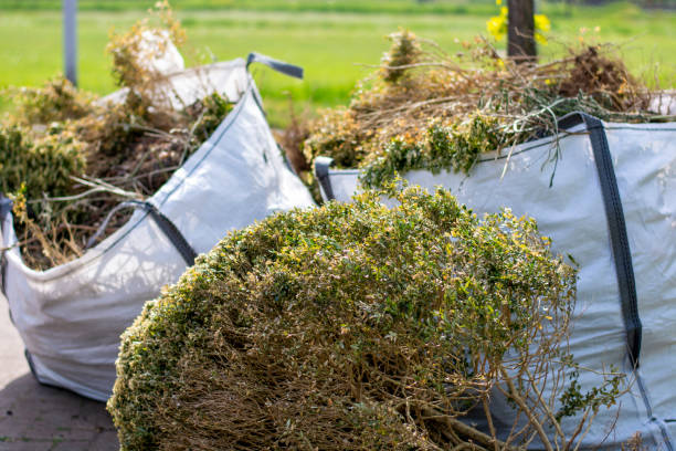 Best Trash Removal Near Me  in Ashley, PA